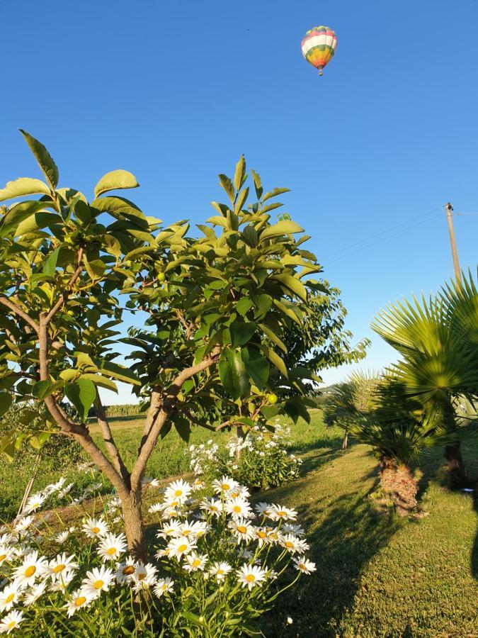 Guest house La Dolce